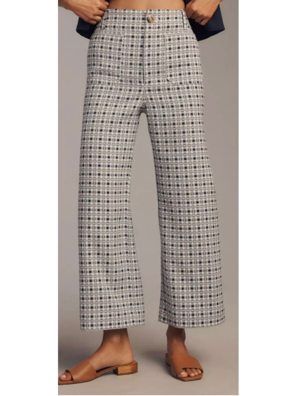 Anthropologie Maeve The Colette Dobby Jacquard Crop Wide-Leg Pants Size 25
